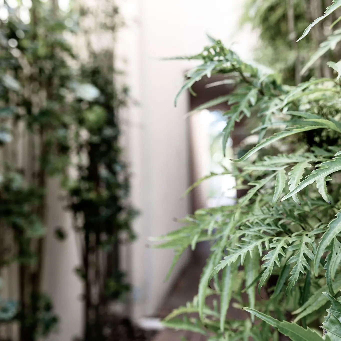 property management sunshine coast, in Noosa to Mooloolaba